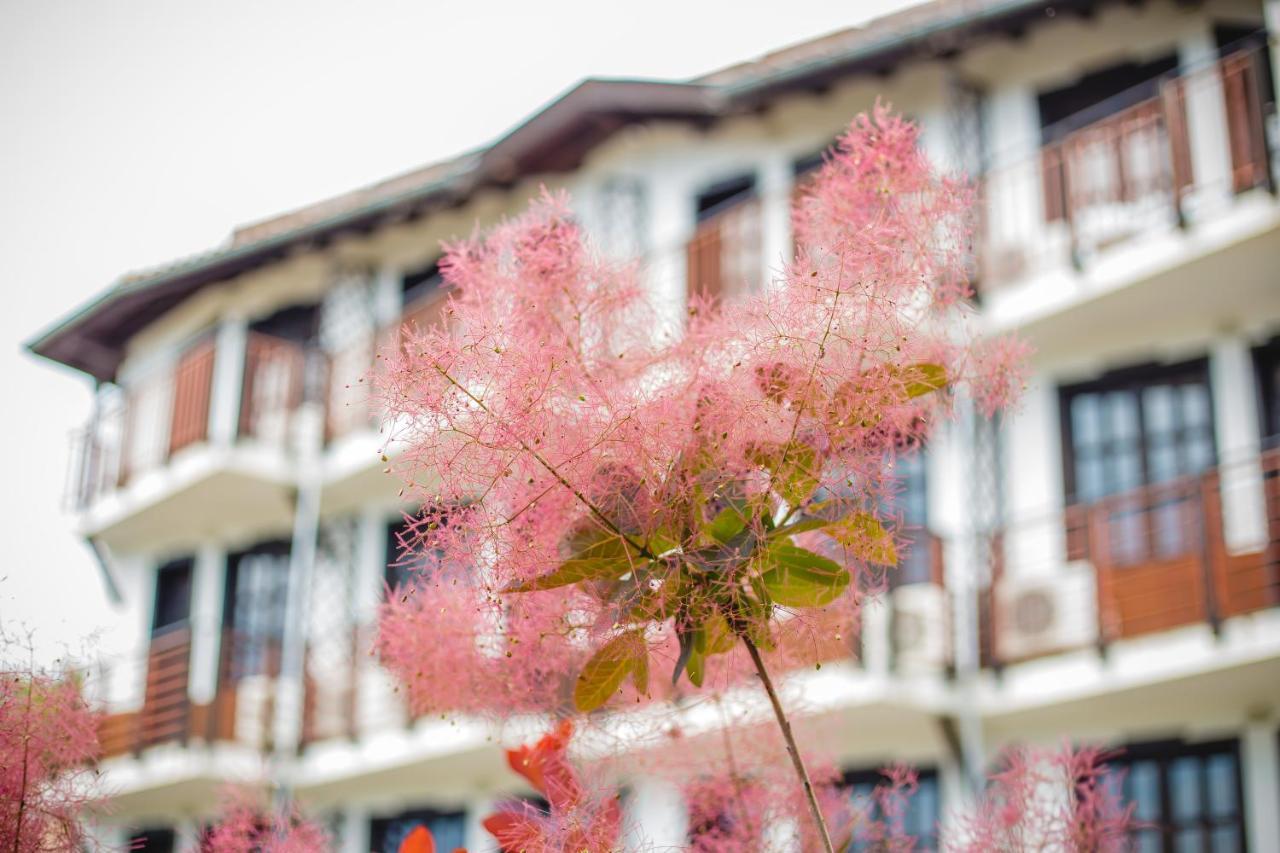 Villa Sol ซันนีบีช ภายนอก รูปภาพ